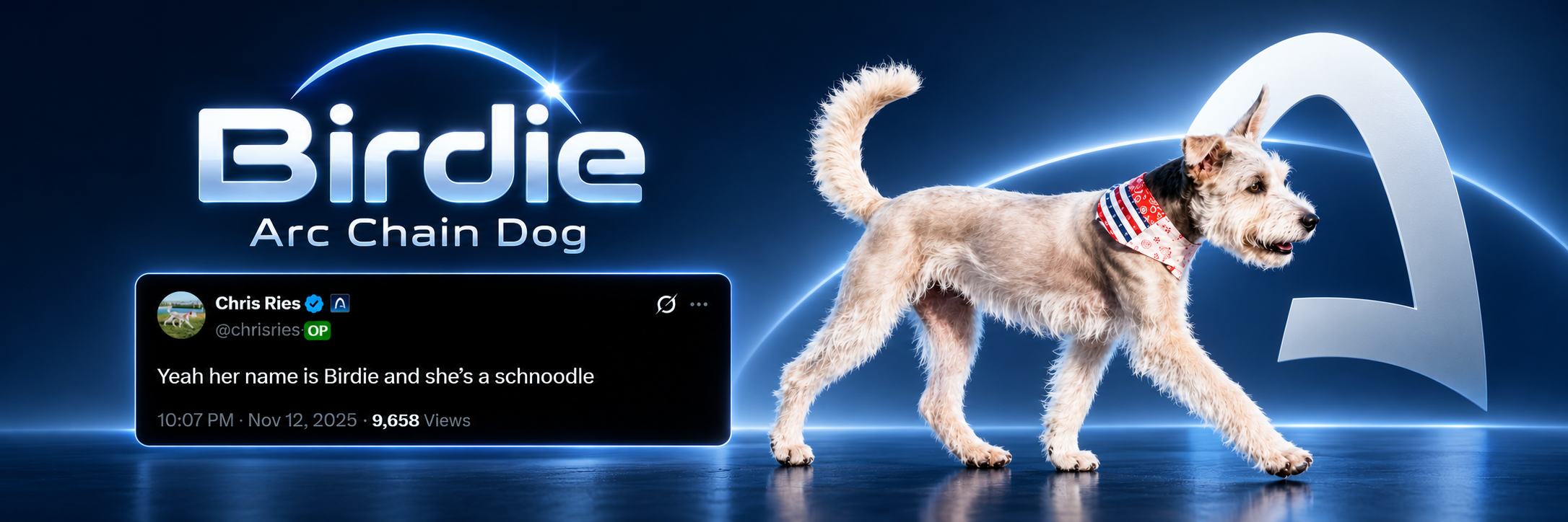 Birdie Arc Chain Dog campaign banner